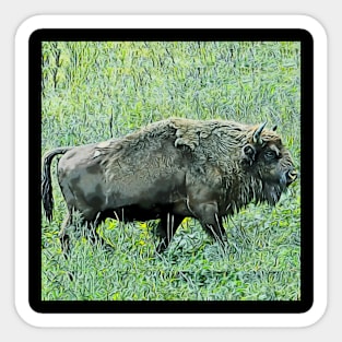 bison Sticker